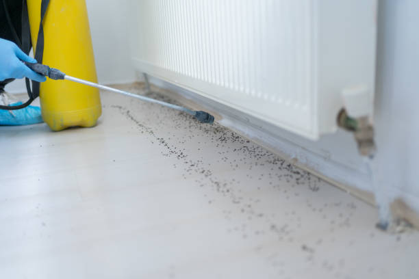 Best Best Pest Control Companies  in Aloha, OR